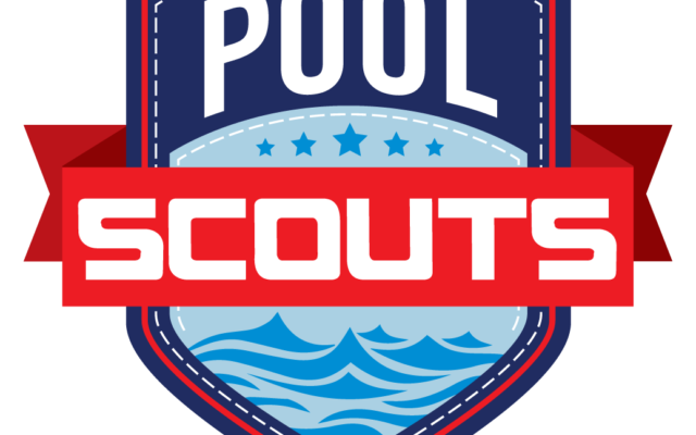 Pool Scouts Franchise Review logo