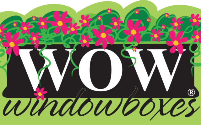 WOW Windowboxes Franchise Review logo