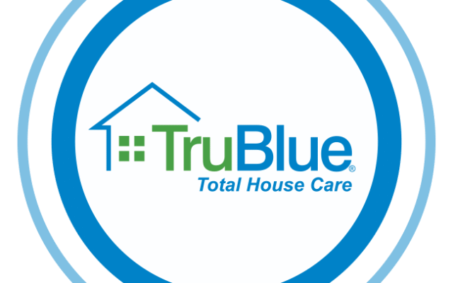 TruBlue Home Service Ally Franchise Review
